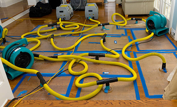 Professional Burst Pipe Water Damage technician working in Knierim, IA